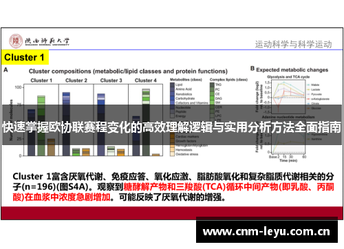 快速掌握欧协联赛程变化的高效理解逻辑与实用分析方法全面指南