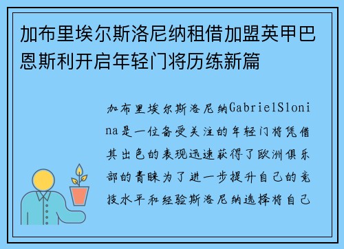 加布里埃尔斯洛尼纳租借加盟英甲巴恩斯利开启年轻门将历练新篇